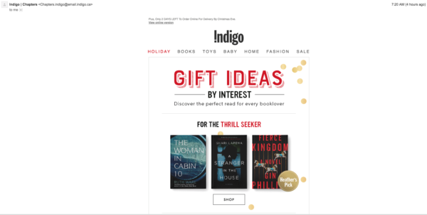 Indigo ecommerce email marketing 