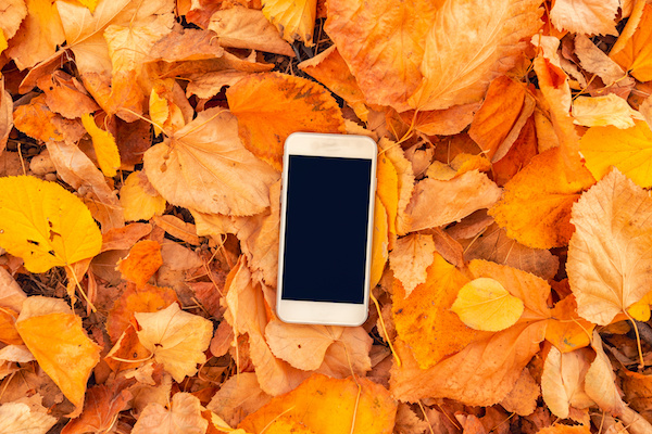 Fall-inspired social media content ideas for your business